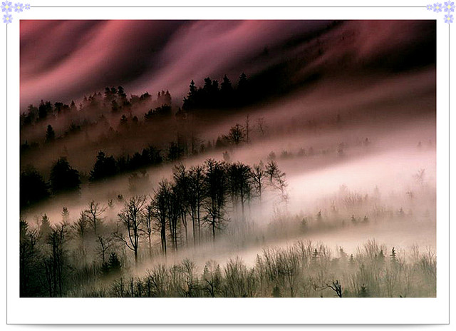 1381394571 3731819528