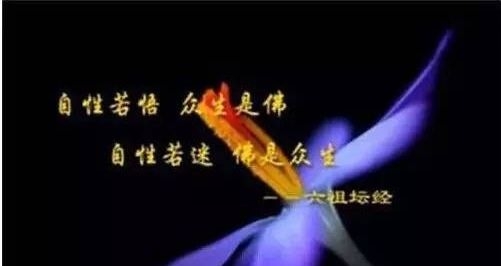 暢談六祖壇經（075）自性本定