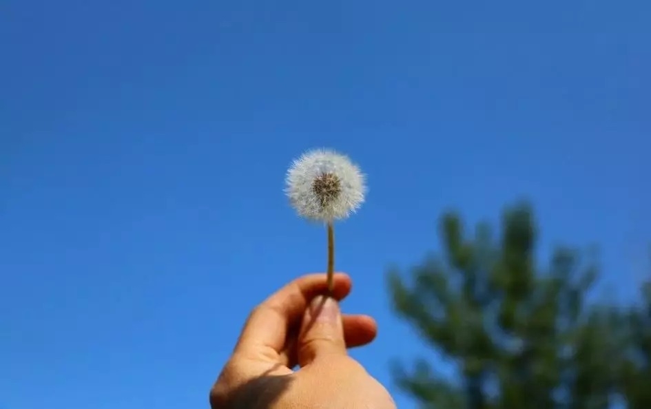 暢談六祖壇經（025）不生不滅