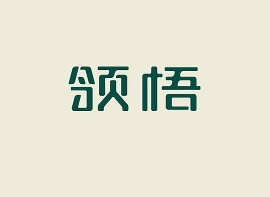 暢談六祖壇經（192）重在領悟