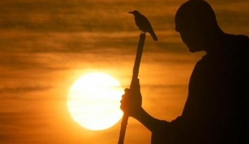 暢談六祖壇經（529）生死自在