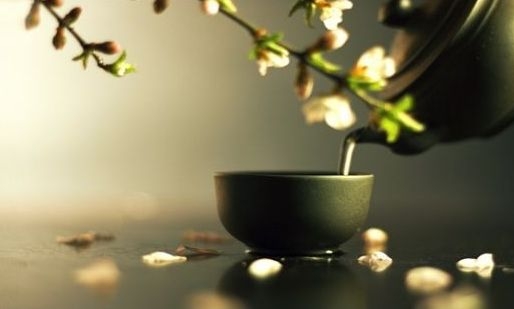 暢談六祖壇經（1244）超越愛憎