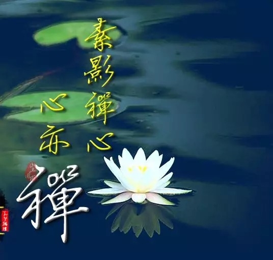 暢談六祖壇經（653）無心是道