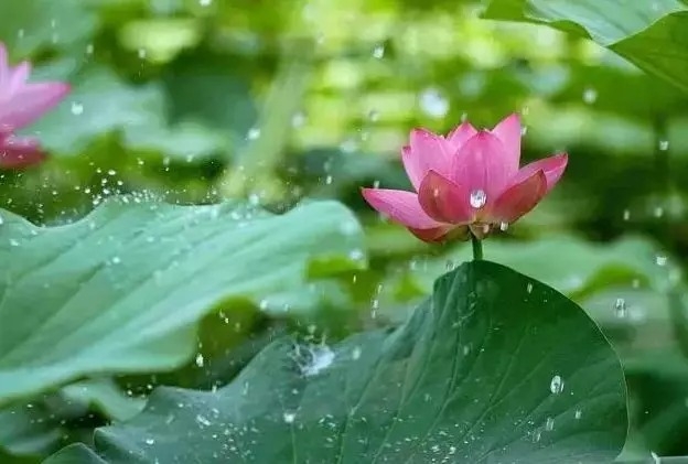 暢談六祖壇經（892）自我思考