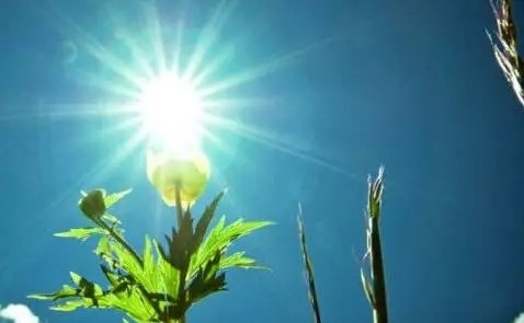 暢談六祖壇經（583）超越生死
