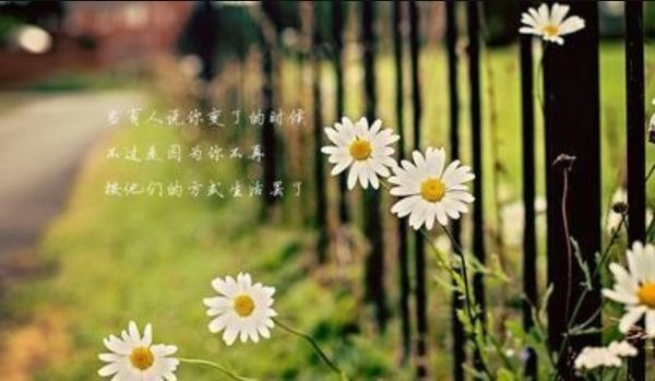 暢談六祖壇經（427）障道因緣