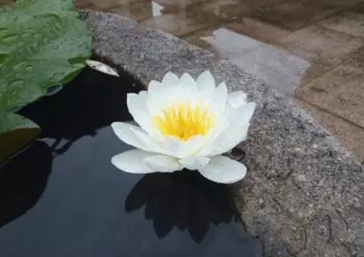 暢談六祖壇經（774） 生活展現