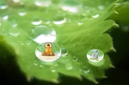 暢談六祖壇經（776）何為生命
