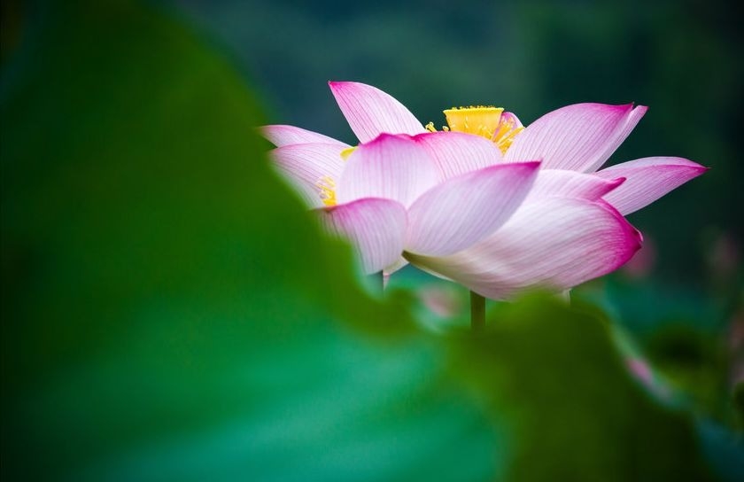 暢談六祖壇經（1302）妙不可言