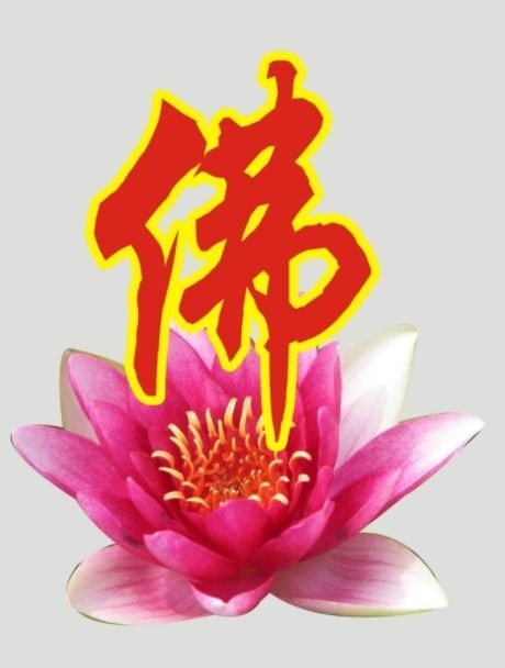 暢談六祖壇經（358）知恩報恩
