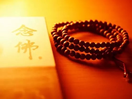 暢談六祖壇經（266）量力而行