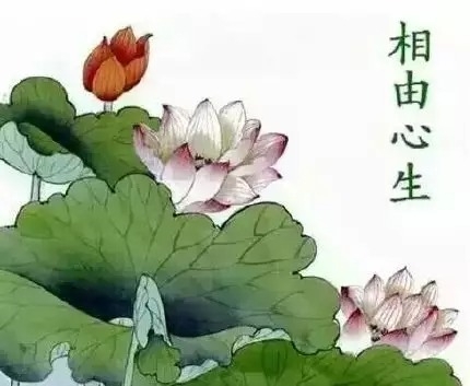 暢談六祖壇經（207）從自心生