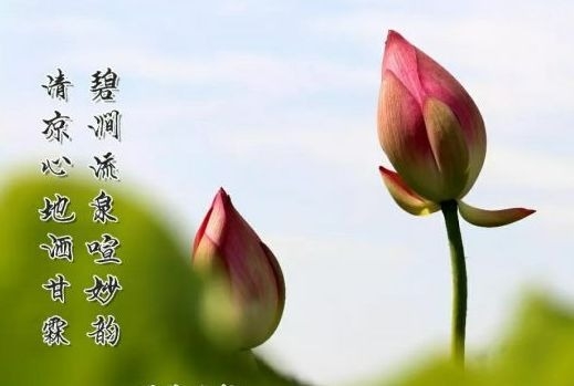 暢談六祖壇經（1203）止息妄念