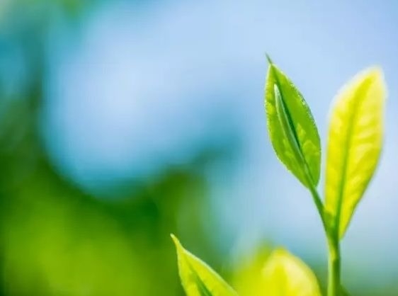 暢談六祖壇經（209）直入内心