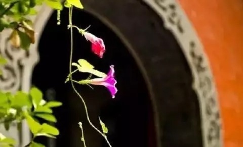 暢談六祖壇經（497）善惡境界