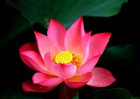 暢談六祖壇經（924）由事及理