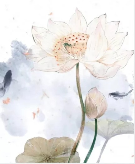 暢談六祖壇經（896）心包太虛