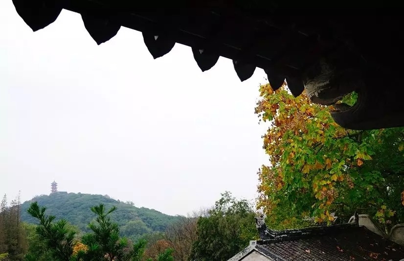 暢談六祖壇經（295）廓然無聖