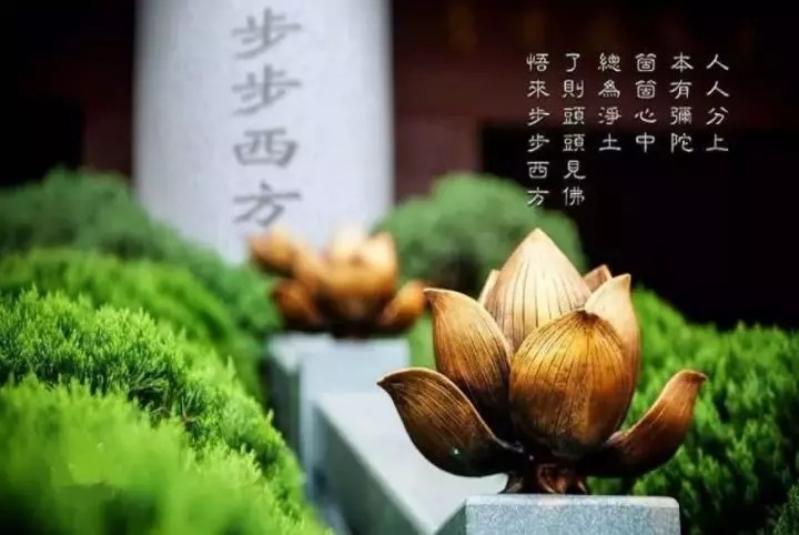 暢談六祖壇經（330）念念精進