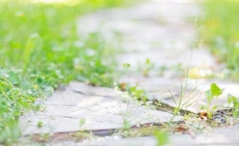暢談六祖壇經（1283）明白心體