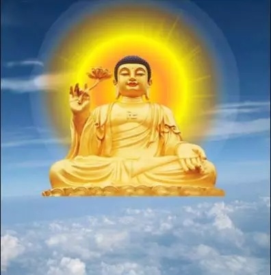 暢談六祖壇經（378）法不相待