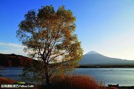 曹洞宗第二祖 ～曹山本寂禪師