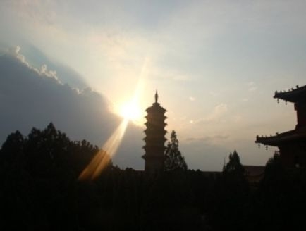 暢談六祖壇經（153）至道無難