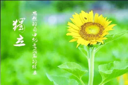 暢談六祖壇經（083）自度度人