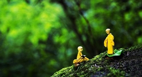暢談六祖壇經（229）善用因缘