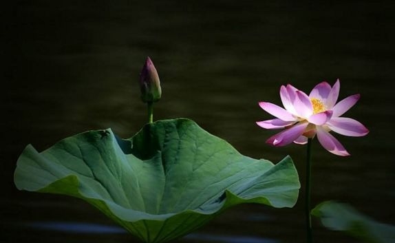 暢談六祖壇經（1008）大人之學