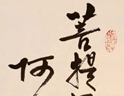 菩提只向心覓...
