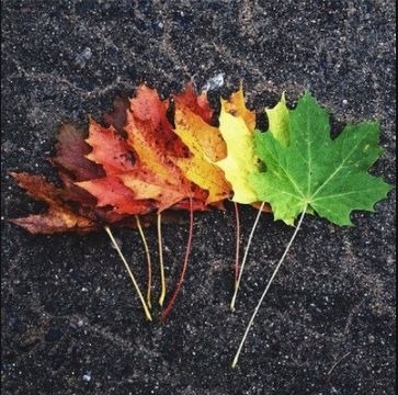 暢談六祖壇經（1215）本自具足