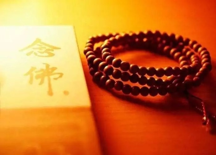 暢談六祖壇經（251）因缘不同