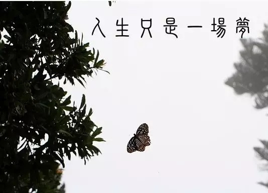 暢談六祖壇經（039）人生是夢