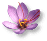 http://zensoul.org/index/uploadfile/200671023372386.gif